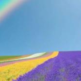 一周一周税不愁