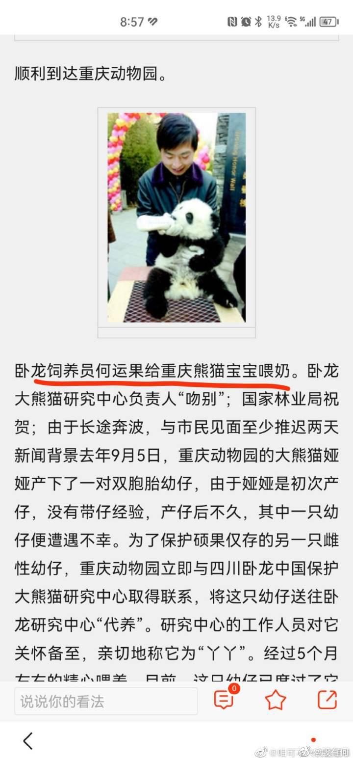 美国熊猫营销号图片