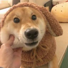 章娱老丸子