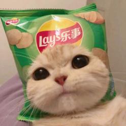 有脾气的宇宙喵