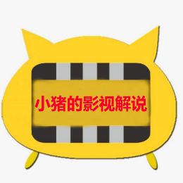 小猪的影视解说