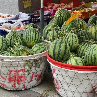 呱中作乐