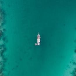 爱深夜的艺术家