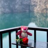 高复指导吴老师