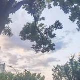 君子一剑似水流年