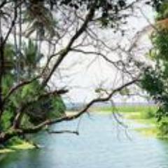 慧慧世界时分享