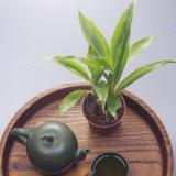 荷泠之世事感悟