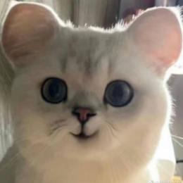 大白的情感课堂