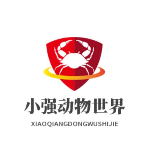 小强动物世界