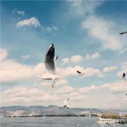 蒙佩尔兰健康养生园