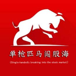 单枪匹马闯股海