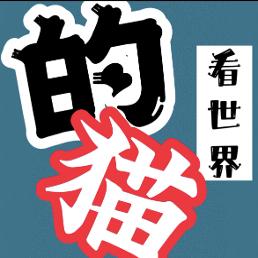的猫看世界