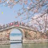 小沫学习