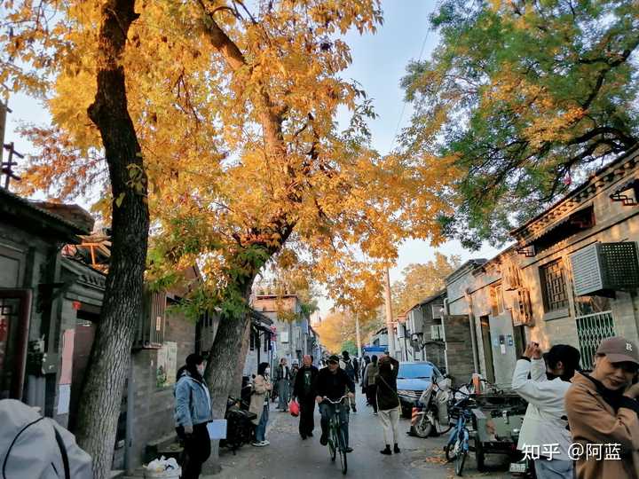 北京旅游攻略必去景点（北京有什么必去的景点）-图30