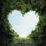 梦中爱想问题的猫