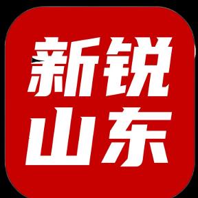 新锐山东
