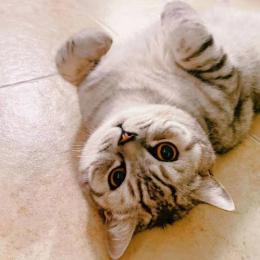 会投稿的小钱编辑