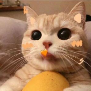 北街啊
