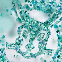 湖南德国威能宏远暖通代理商