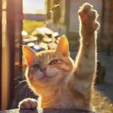 山姆的日常分享