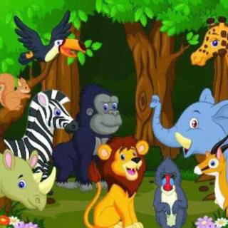 阿德解说动物世界