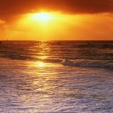 情感生活分享者