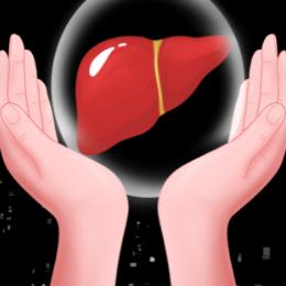 养肝护肝每日分享