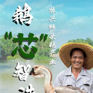 GDOU鹅芯智造