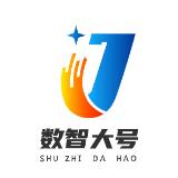 数智大玩家