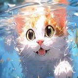 淘多多的投资世界