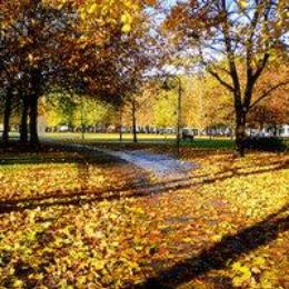 小琉的人间烟火