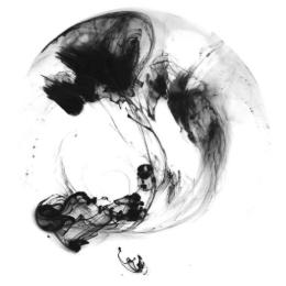 大历史小杂谈儿