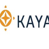 卡亚国际穿透成像仪