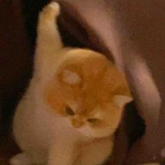 哟哟哟123