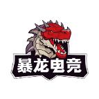 暴龙电竞号