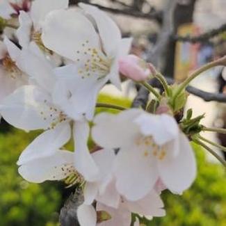 老罗老罗好朋友