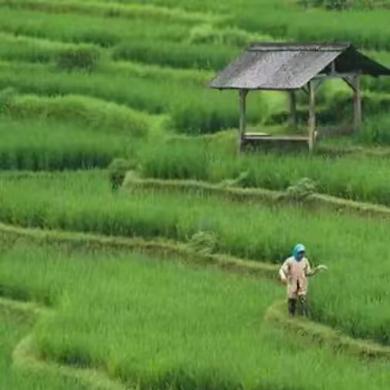 生活在农村的涛友