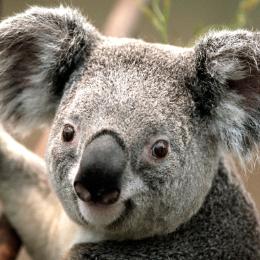 北北北一路走北