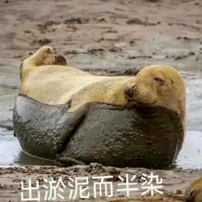 别人休息我蹦迪