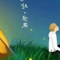 漂泊乡村人
