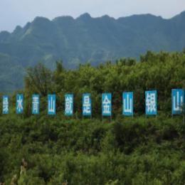 徐思军