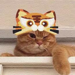 我想要一只橘猫