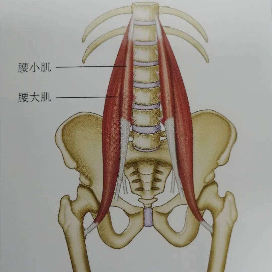 腰椎