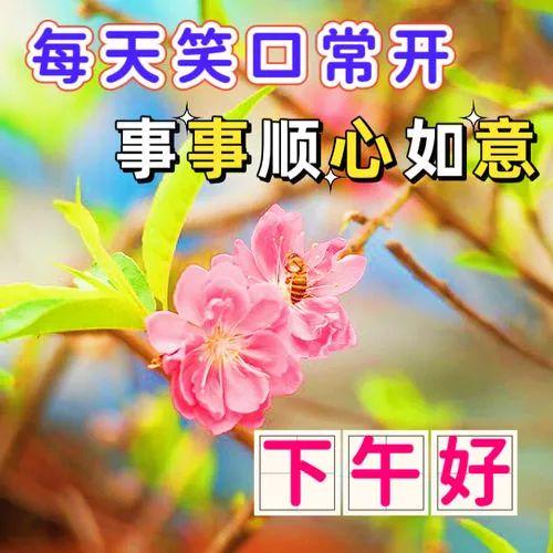 下午好各种图片带字图片