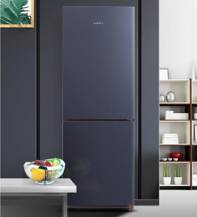 冰箱什么品牌最好排名前十名（冰箱哪个品牌最耐用质量最好?）
