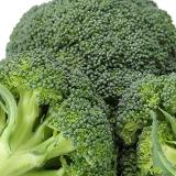 健康快乐聊养生