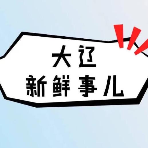 大辽新鲜事