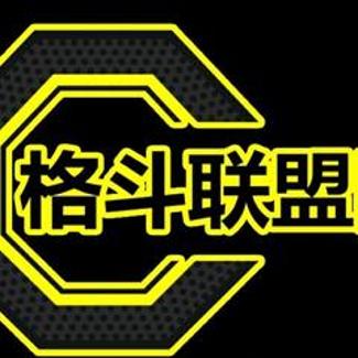 格斗联盟王大锤