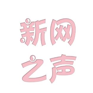新网之声