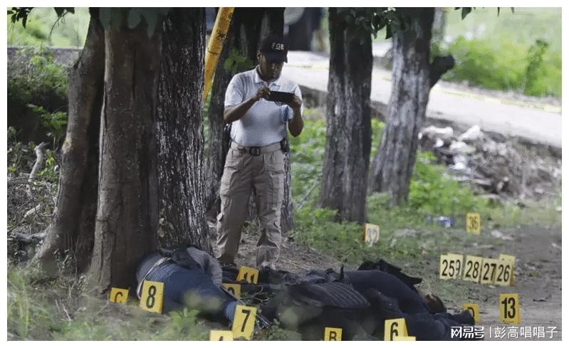 墨西哥警察死亡率图片